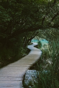 a path leads to a new destiny